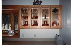 see thru cabinets