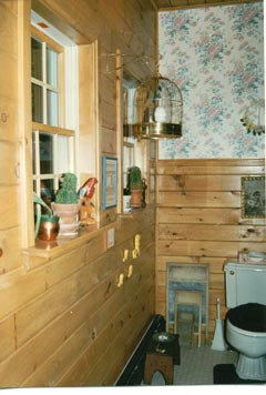 bathroom windows
